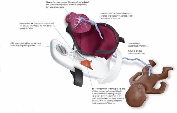 http://www.buyamag.com/cdn/shop/products/birth-obstetric-simulator-5_grande.jpg?v=1576749954