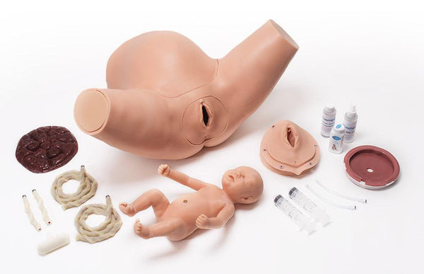 Labor Childbirth Simulator Obstetric- Manikin Model Buyamag – Buyamag INC