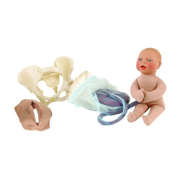 Pregnancy-Imitating Belts : Baby Simulator