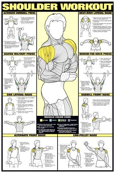 workout chart for bodybuilding