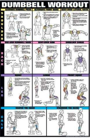 Weight Training Bodybuilding Exercise Poster - Back Muscles