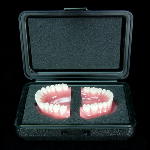 dental models safe storing plastic boxes