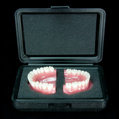 dental models safe storing plastic boxes