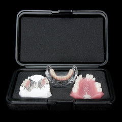 dental safety model boxes