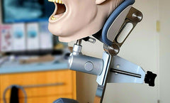 dental practice manikin