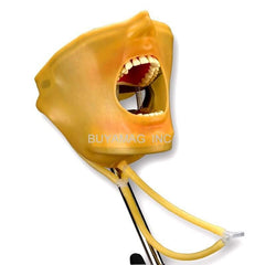 Dental Techniques Auxiliary Training Simulator Manikin Magnetic System  Mask Water Drainage System