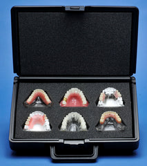 dental models carrying box