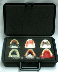 dental model safe box