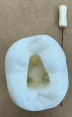 dental endodontic molar root canal model