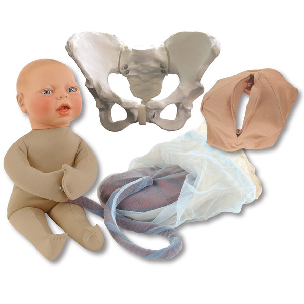 childbirth obstetric manikin simulator