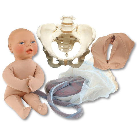 childbirth simulator model