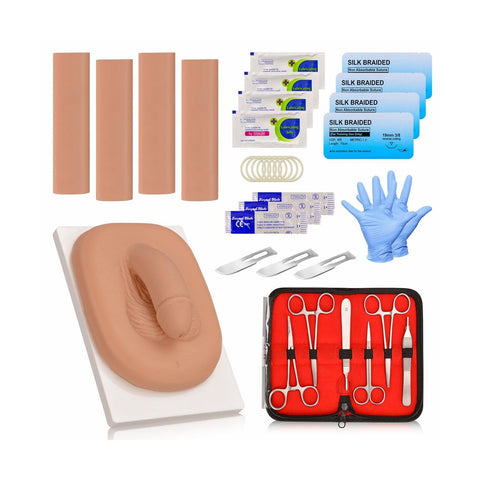 adult circumcision model
