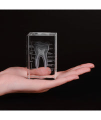 dental office decoration tooth gift