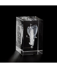 Human Molar Tooth 3D Crystal Dental Office Decoration Dentist Graduation Gift