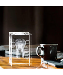 dental office decoration molar tooth