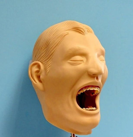 orthodontic manikin simulator phantom