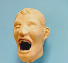 orthodontic simulator manikin model phantom head