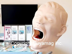 hygiene model simulator