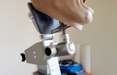 dental phantom
