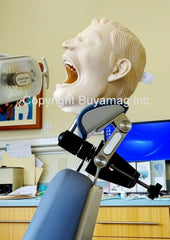 hygiene manikin model