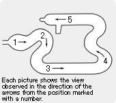 Replacement Semi-Difficult Intestine