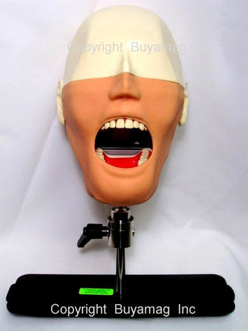 dental phantom head