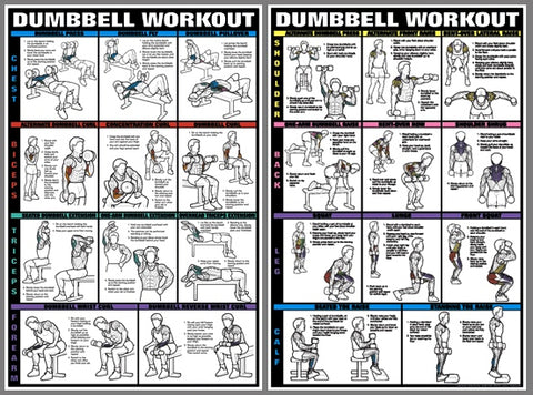 11 x 16 Dumbbell Workout Fitness Chart Chest, Biceps Triceps & Forearms