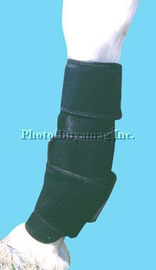 Horse Magnetic Therapy Shin - Tendon Wrap Byamag – Buyamag INC